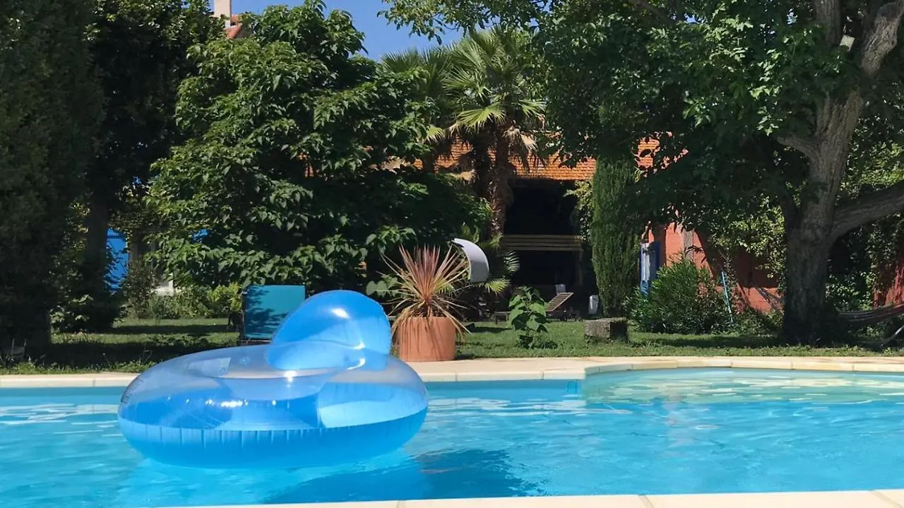 Le Mas Des Platanes Entraigues-sur-la-Sorgue Bed & Breakfast