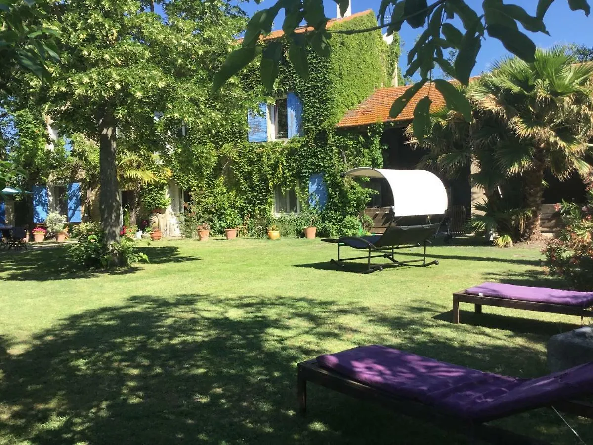 Le Mas Des Platanes Entraigues-sur-la-Sorgue Bed & Breakfast